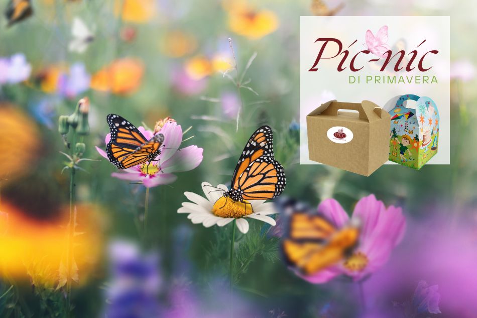 Il giardino delle farfalle - Pic Nic di primavera