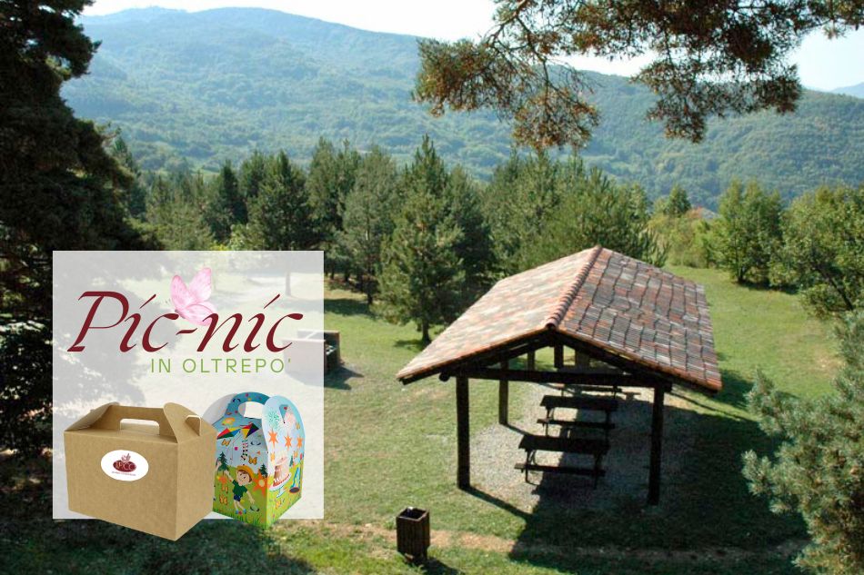 pic-nic monte alpe